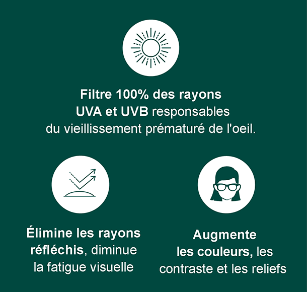 Montures optiques